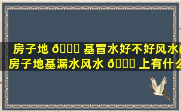 房子地 🐎 基冒水好不好风水(房子地基漏水风水 💐 上有什么说法)